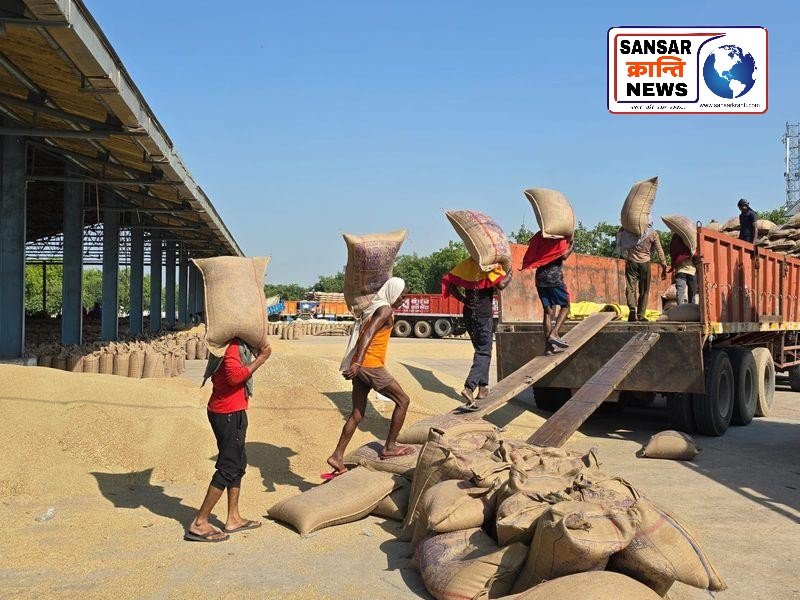 कपास के दाम सुनकर खिले किसानों के चेहरे, MSP से ऊपर मिल रहा दाम , जानिए नया भाव