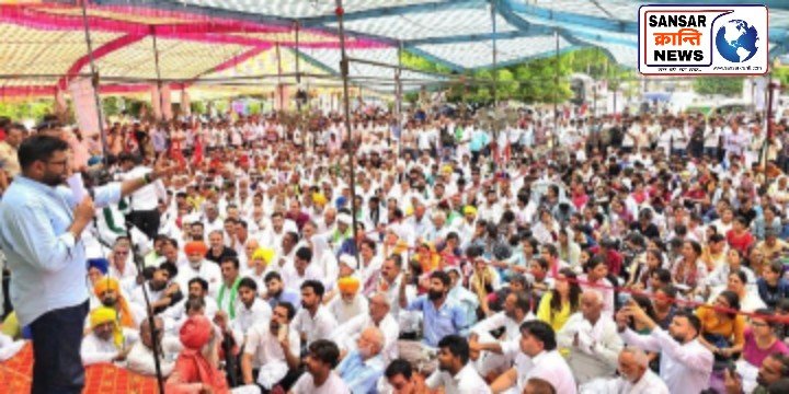 हरियाणा की यूनिवर्सिटियों में खाली पदों पर भड़के शिक्षक। शिक्षकों ने सरकार को दिया अल्टीमेटम।